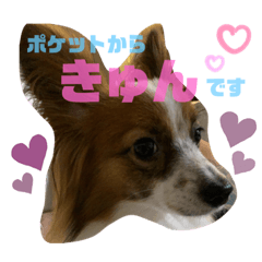 [LINEスタンプ] 愛しのfamily②