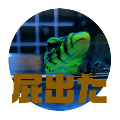 [LINEスタンプ] 虎太郎の毎日