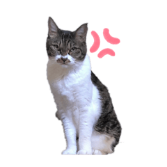 [LINEスタンプ] ねろたんスタンプ7