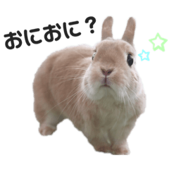 [LINEスタンプ] うさぎのおにぎりスタンプ3