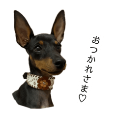 [LINEスタンプ] トイマンです♡2