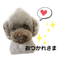 [LINEスタンプ] ウチのトロ