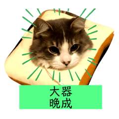[LINEスタンプ] つき君の四文字