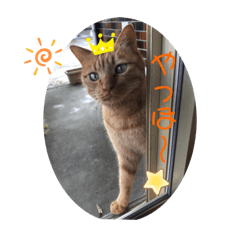 [LINEスタンプ] ビビとジャック2