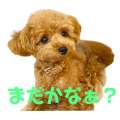 [LINEスタンプ] マカナ(243)