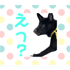[LINEスタンプ] プー助(245)