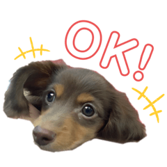 [LINEスタンプ] randy moka1