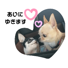 [LINEスタンプ] もっといーとつー。