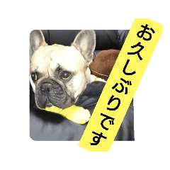 [LINEスタンプ] 返信用スタンプ  フレブル編