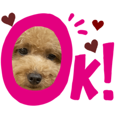[LINEスタンプ] KINAKOのスタンプ♥️