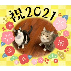 [LINEスタンプ] ちびみや9