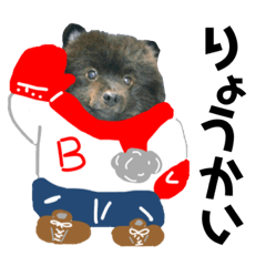 [LINEスタンプ] 冬に便利で可愛い。熊犬バースくん