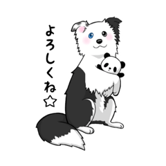 [LINEスタンプ] ボーダーコリーのビーモ