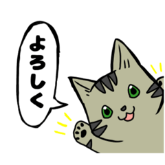 [LINEスタンプ] ネコのスタンプ アメショ