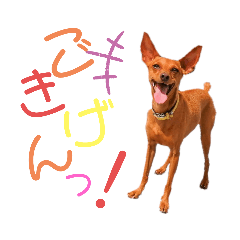 [LINEスタンプ] ミニピンレッドのオリヴィアさん