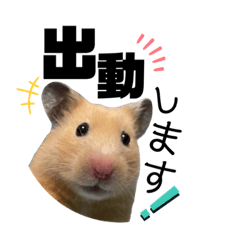 [LINEスタンプ] みんちょこまるスタンプ②