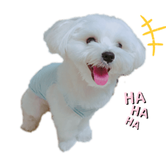 [LINEスタンプ] ふわふわカイト