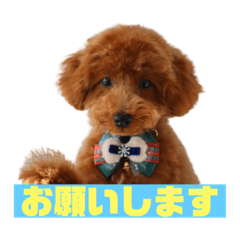 [LINEスタンプ] 零(248)