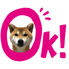 [LINEスタンプ] そらたんのスタンプ！