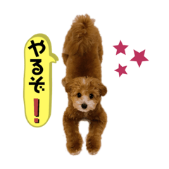 [LINEスタンプ] ぺぽたんのすたんぷ。