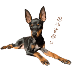 [LINEスタンプ] トイマンです♡