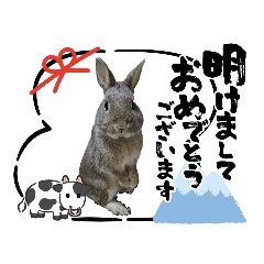 [LINEスタンプ] うさぎここ スタンプ☆お正月☆