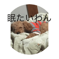 [LINEスタンプ] ワンワンもいるよ