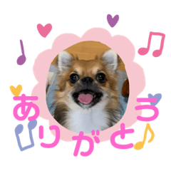 [LINEスタンプ] 西井さんちのモフモフ犬