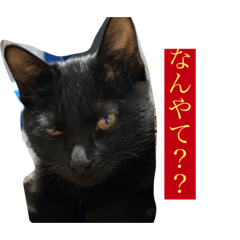 [LINEスタンプ] 日常（ゆっぺ？もこ？）