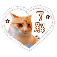 [LINEスタンプ] 先生と坂本