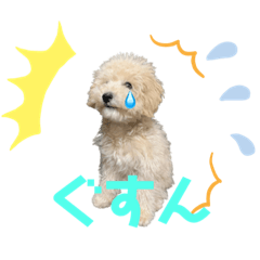 [LINEスタンプ] ポッキー(256)