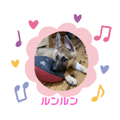 [LINEスタンプ] ボンちゃんシリーズ