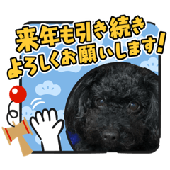 [LINEスタンプ] 第2トイプーたん