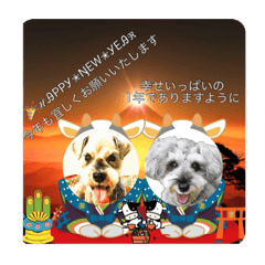 [LINEスタンプ] ベりーとしゅなまる3