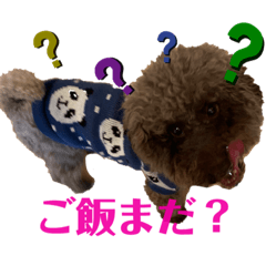 [LINEスタンプ] トイプードルfamily2