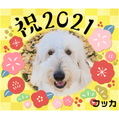 [LINEスタンプ] フッカフカのフッカ・その3