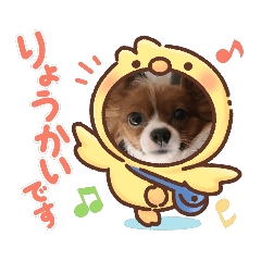 [LINEスタンプ] ワンコリズ2