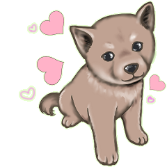 [LINEスタンプ] THE 柴犬