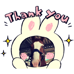[LINEスタンプ] 馬スタンプ4