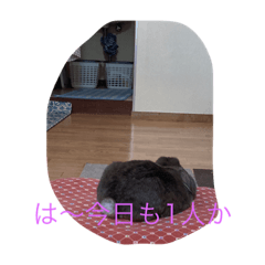 [LINEスタンプ] yuu1011love