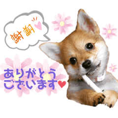 [LINEスタンプ] ロクすたんぷ4
