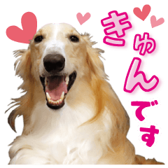 [LINEスタンプ] MySweetDogs