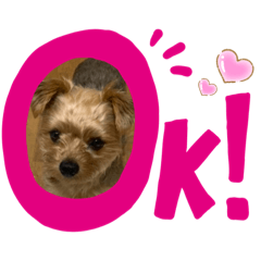 [LINEスタンプ] ショコラ③