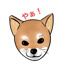 [LINEスタンプ] ケビン the ドッグ