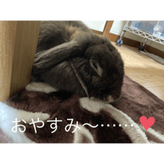 [LINEスタンプ] チョコLove