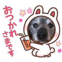 [LINEスタンプ] コタツ045