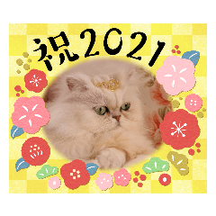 [LINEスタンプ] Happy New Cats2021