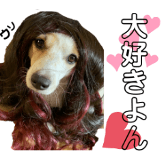 [LINEスタンプ] 犬のまるるちゃん