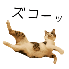 [LINEスタンプ] はるつないくらぴざ