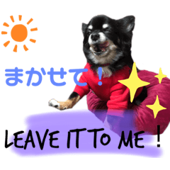 [LINEスタンプ] 英語と日本語で返事！